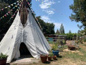 C's photo at Miss Daisy’s Magical Wonderland near Yountville, CA