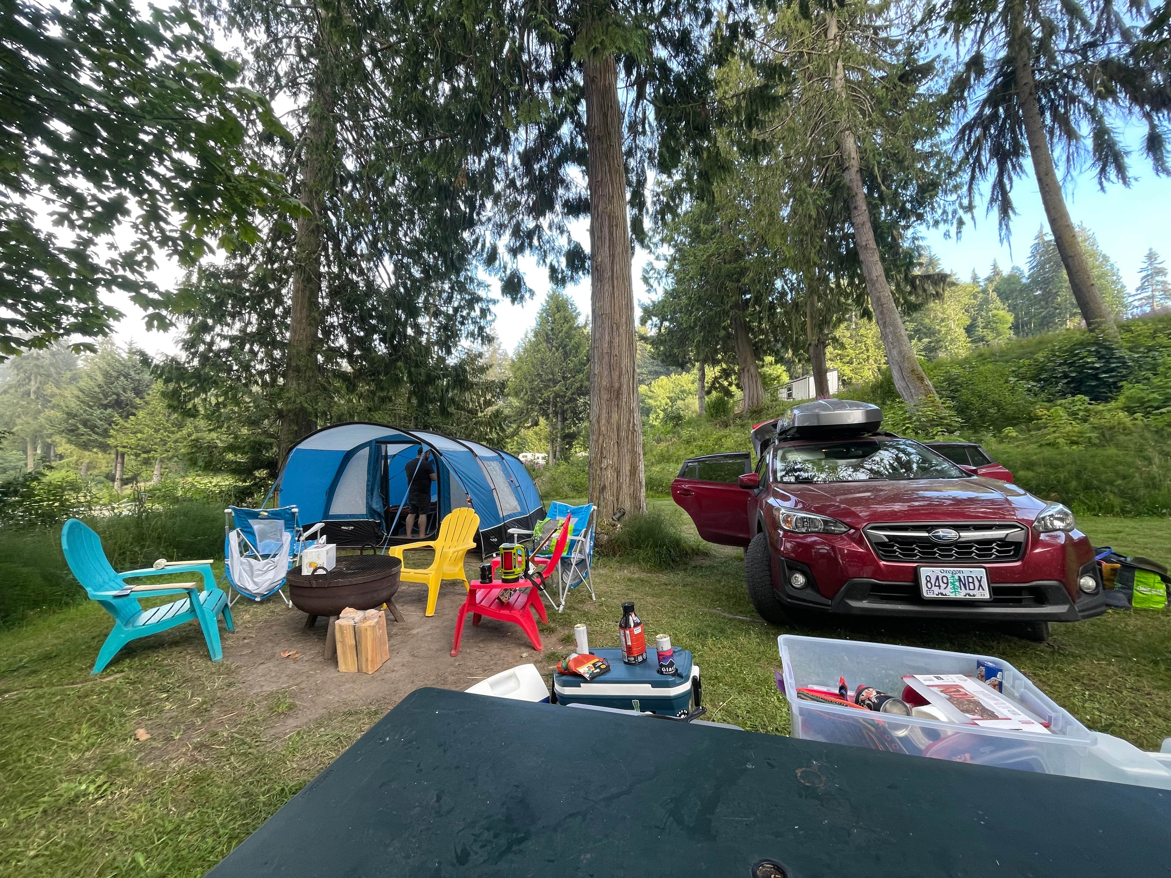 Jess S.'s photo at Whiskey Creek Beach NW near Joyce, WA