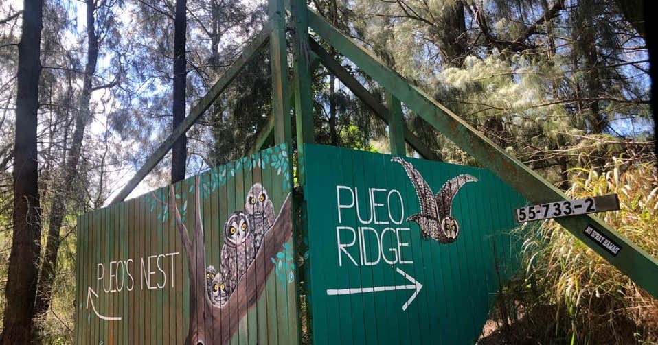 The Hippocampus of Pueo Ridge