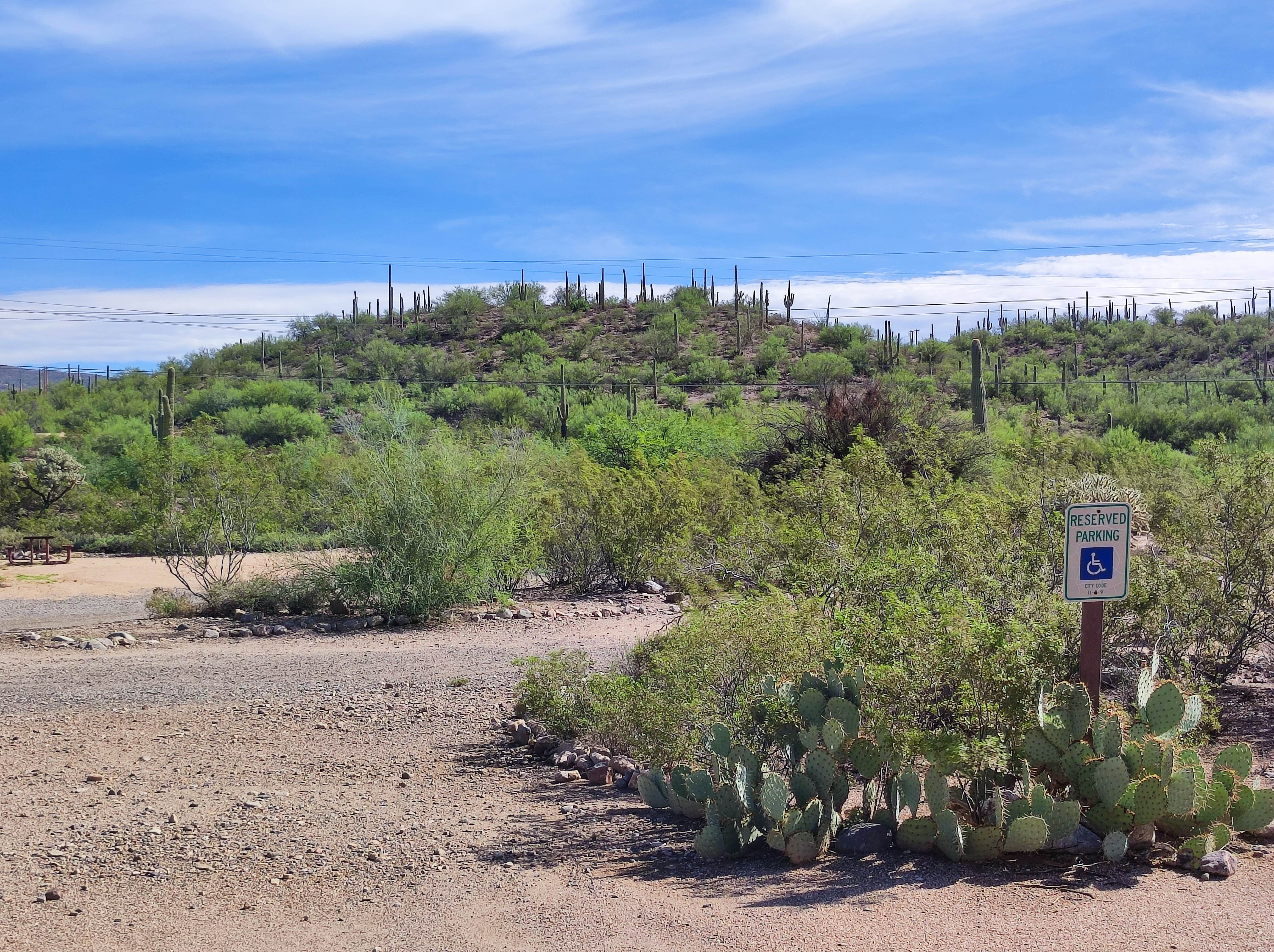 Camper-submitted photo at Kearny Lake City Park near Winkelman, AZ