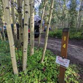Review photo of Collegiate Peaks by Nikki and Will W., August 5, 2022