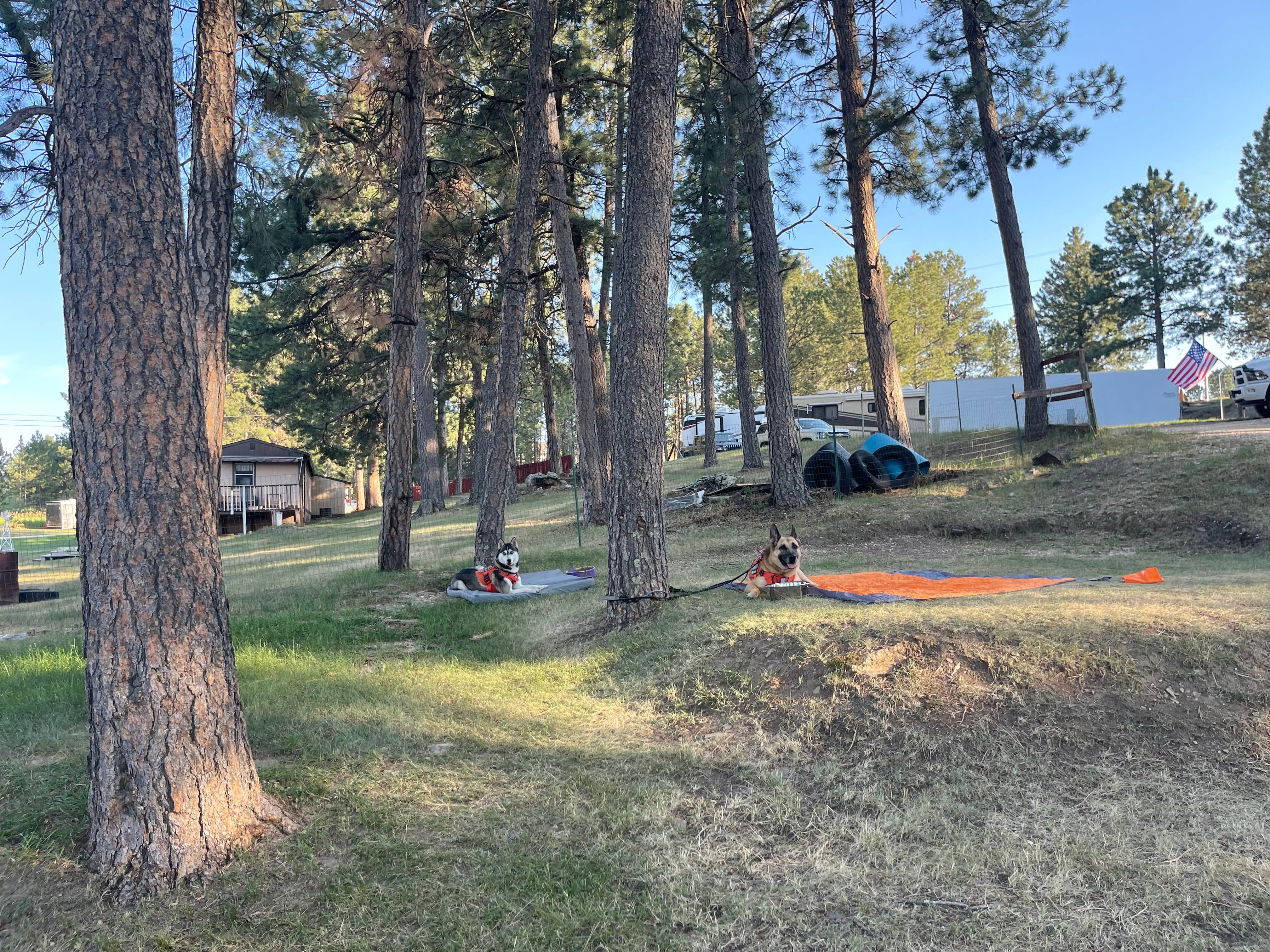 Marsha C.'s photo at Southern Hills - Custer near Custer, SD