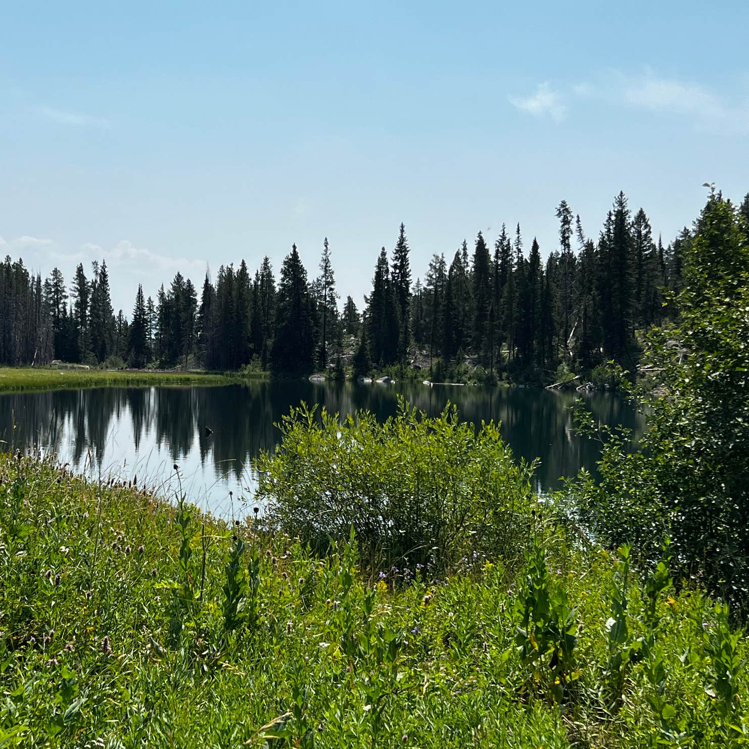 Trapper Lake Backcountry Camping Grand Teton National Park, WY