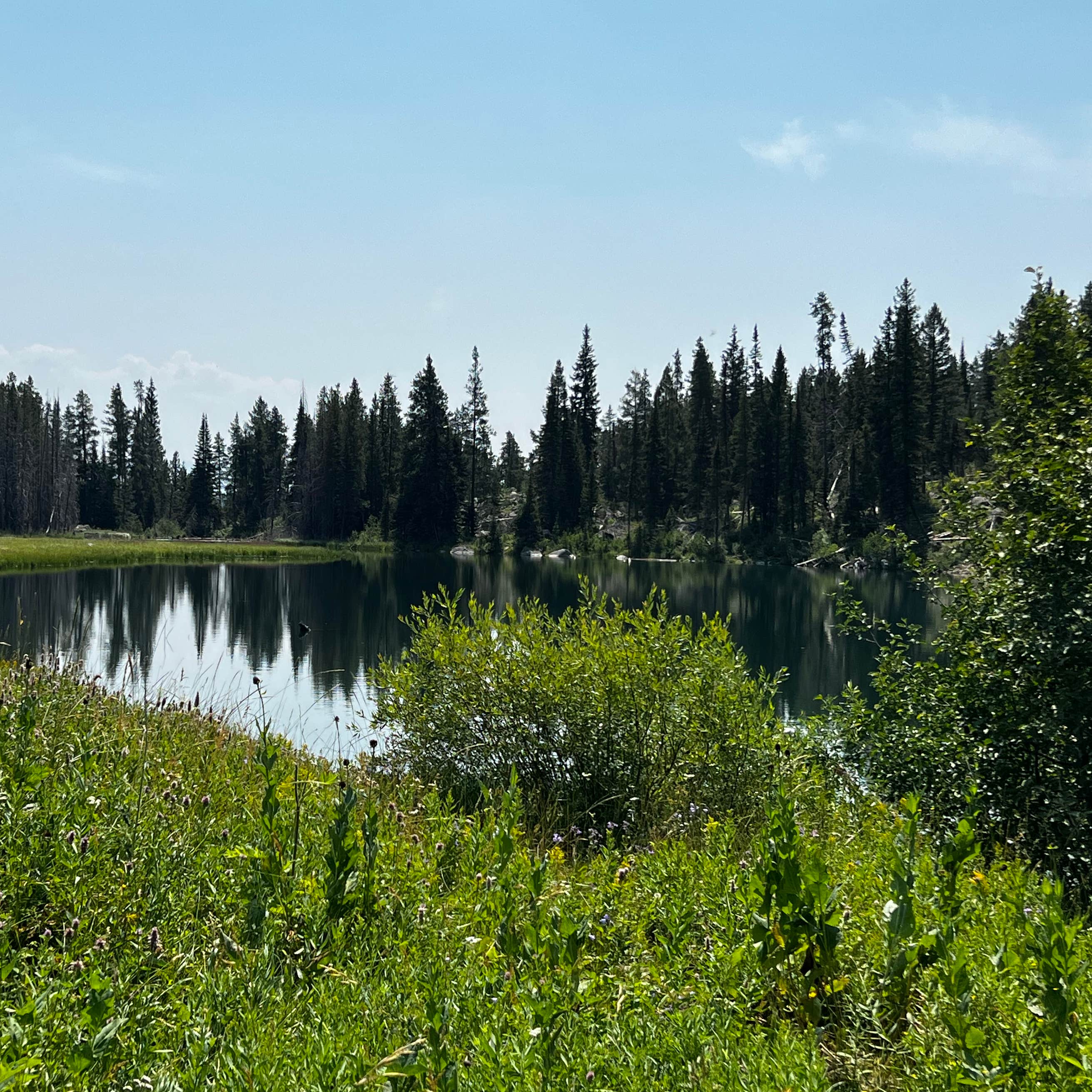 Trapper Lake Backcountry Camping Grand Teton National Park, WY