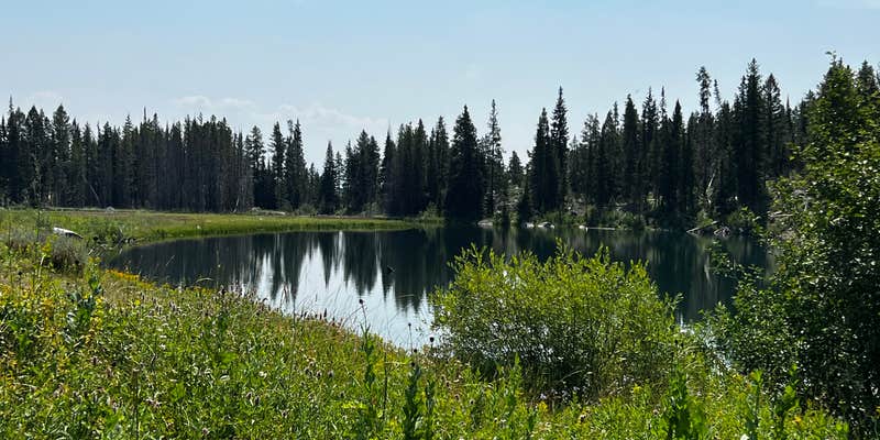 Camper submitted image from Trapper Lake Backcountry Camping