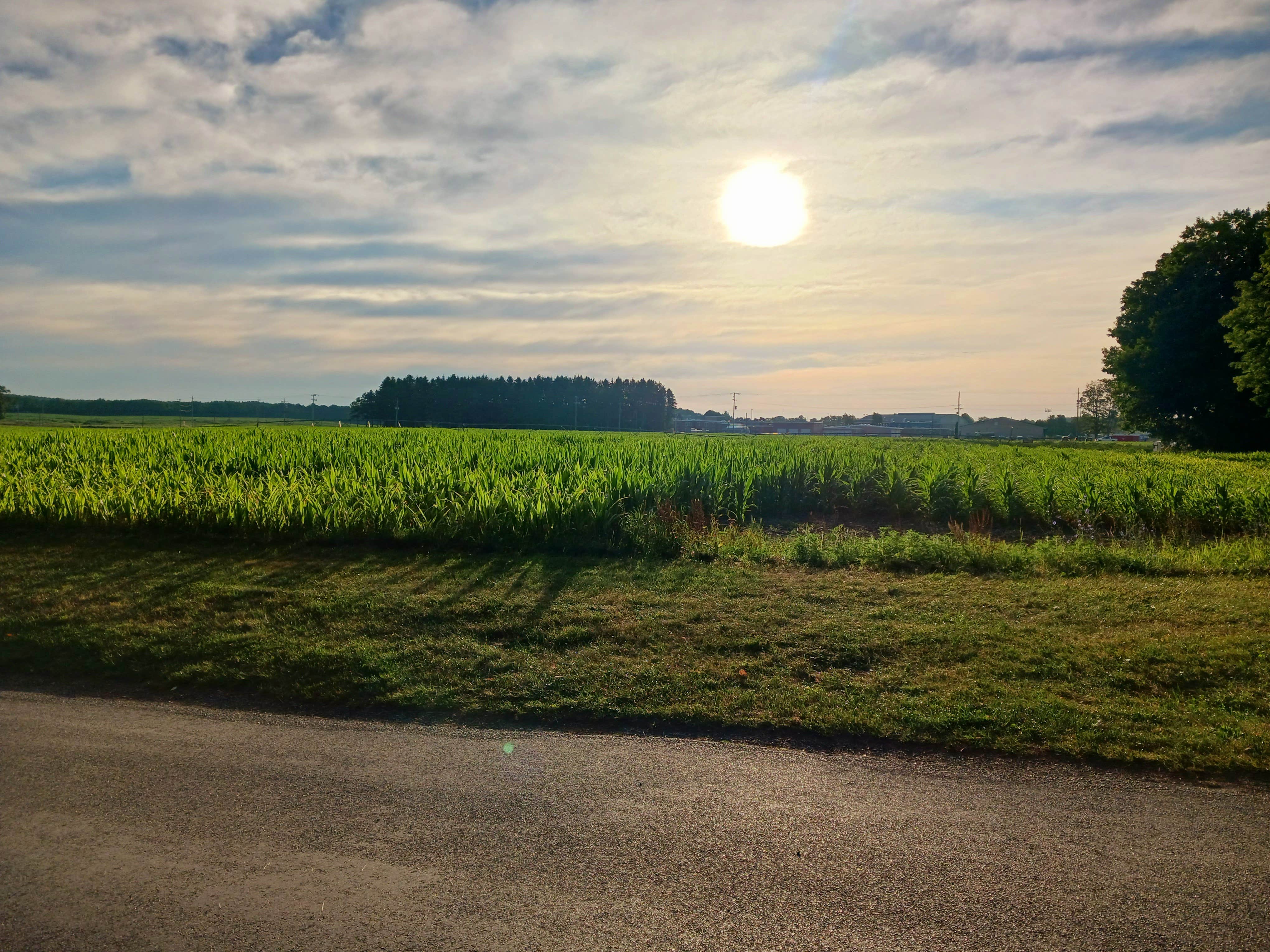 Camper-submitted photo at Woodstream Campsite near Java Center, NY