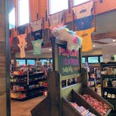 Review photo of Normandy Farms Campground by Jennifer H., August 5, 2022