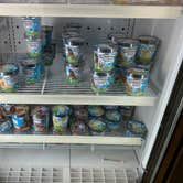 Review photo of Normandy Farms Campground by Jennifer H., August 5, 2022