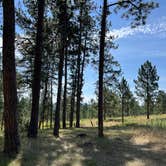Review photo of Big Pine Campground by Heidi H., August 5, 2022