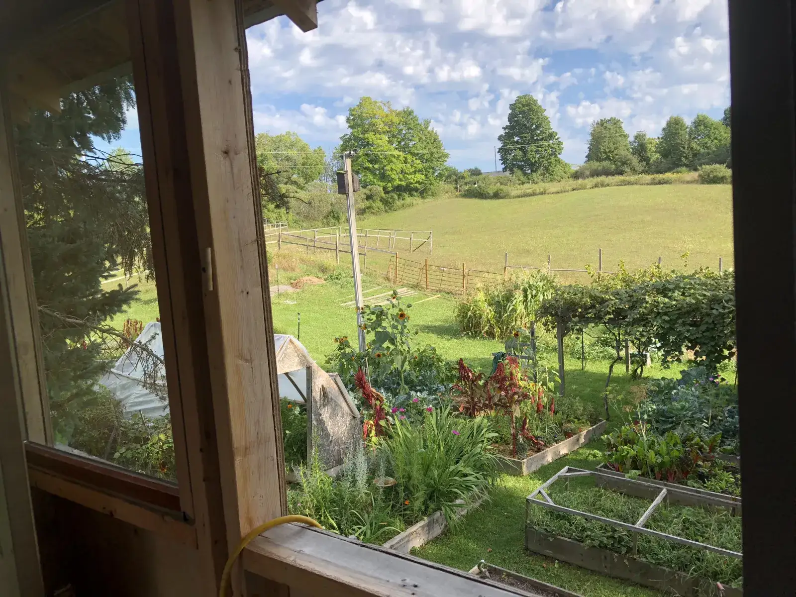 Camper-submitted photo at Llovely Meadows Campground near Frankfort, MI