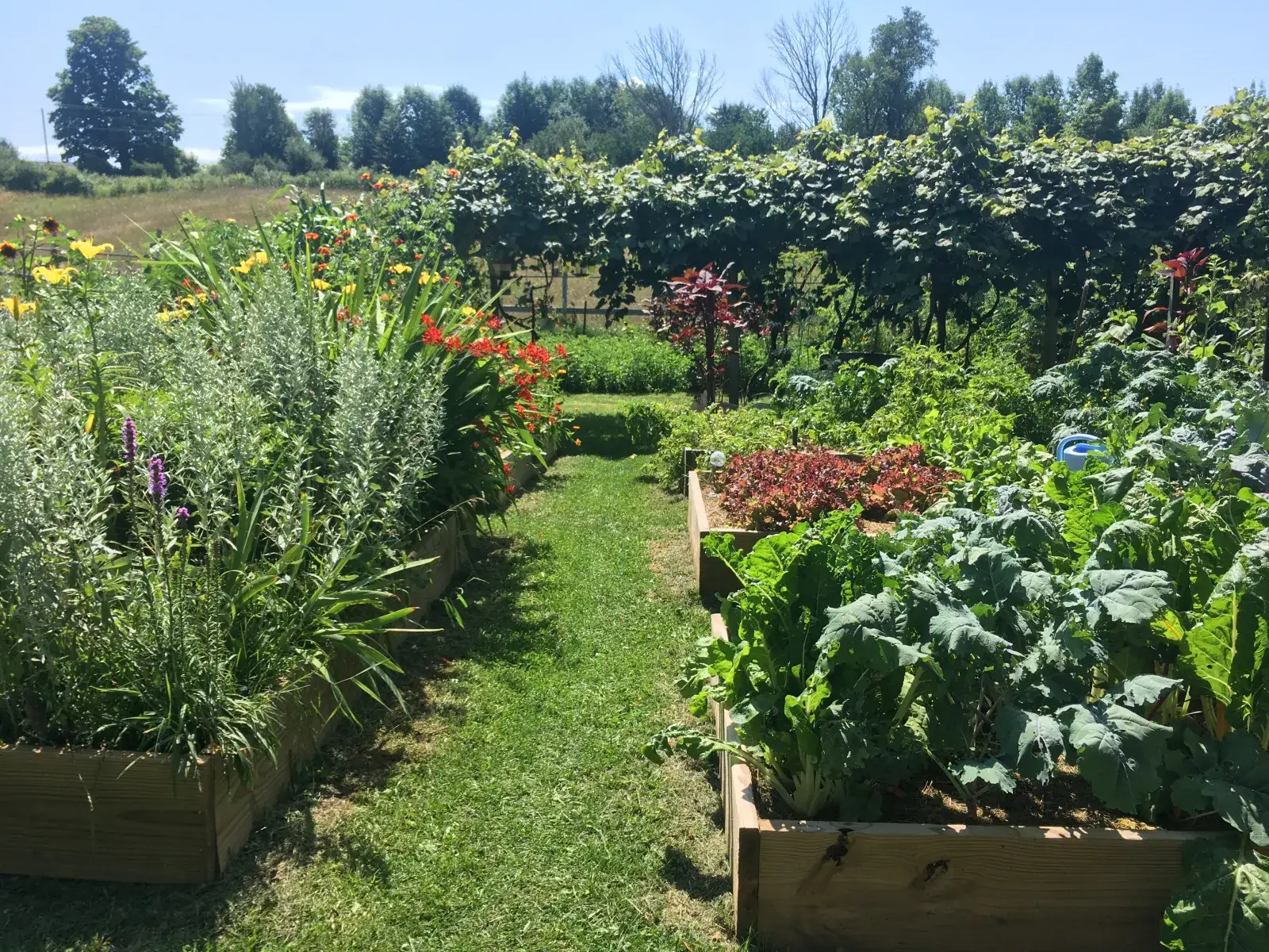 Camper-submitted photo at Llovely Meadows Campground near Frankfort, MI