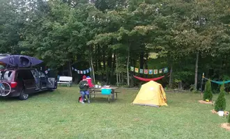 Camping near White Pine Backcountry Camp — Sleeping Bear Dunes National Lakeshore: Llovely Meadows Campground, Benzonia, Michigan