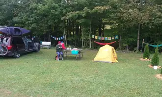 Camping near Camp Squid Off The Grid: Llovely Meadows Campground, Benzonia, Michigan