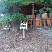 Review photo of Yogi Bear's Jellystone Park Mill Run by not S., August 5, 2022