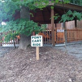 Review photo of Yogi Bear's Jellystone Park Mill Run by not S., August 5, 2022
