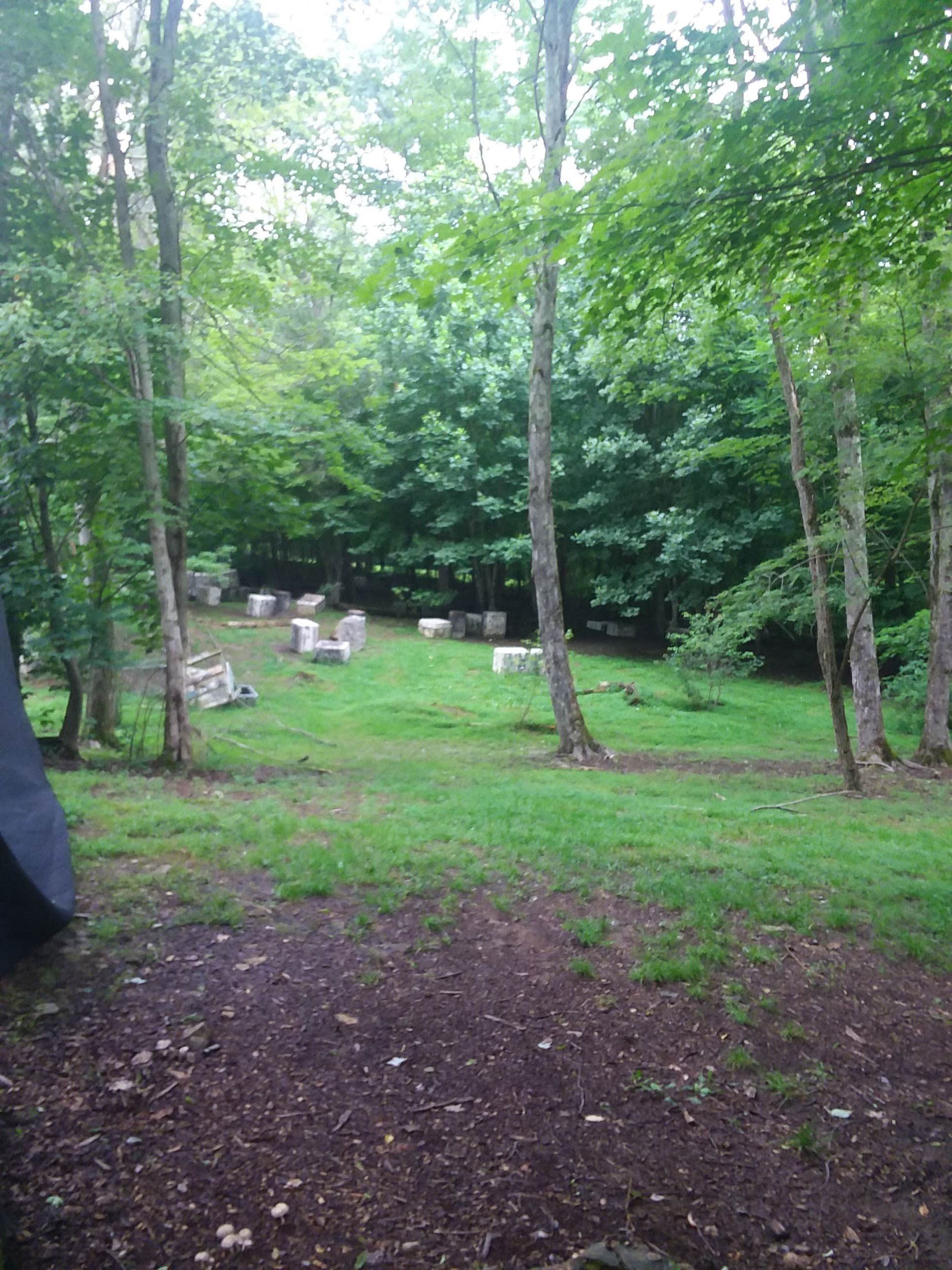 not S.'s photo at Yogi Bear's Jellystone Park Mill Run near Normalville, PA