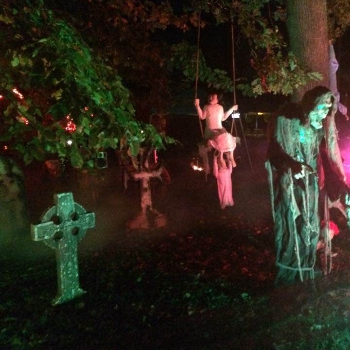 Yogi Bear's Jellystone Park Millbrook Camping The Dyrt