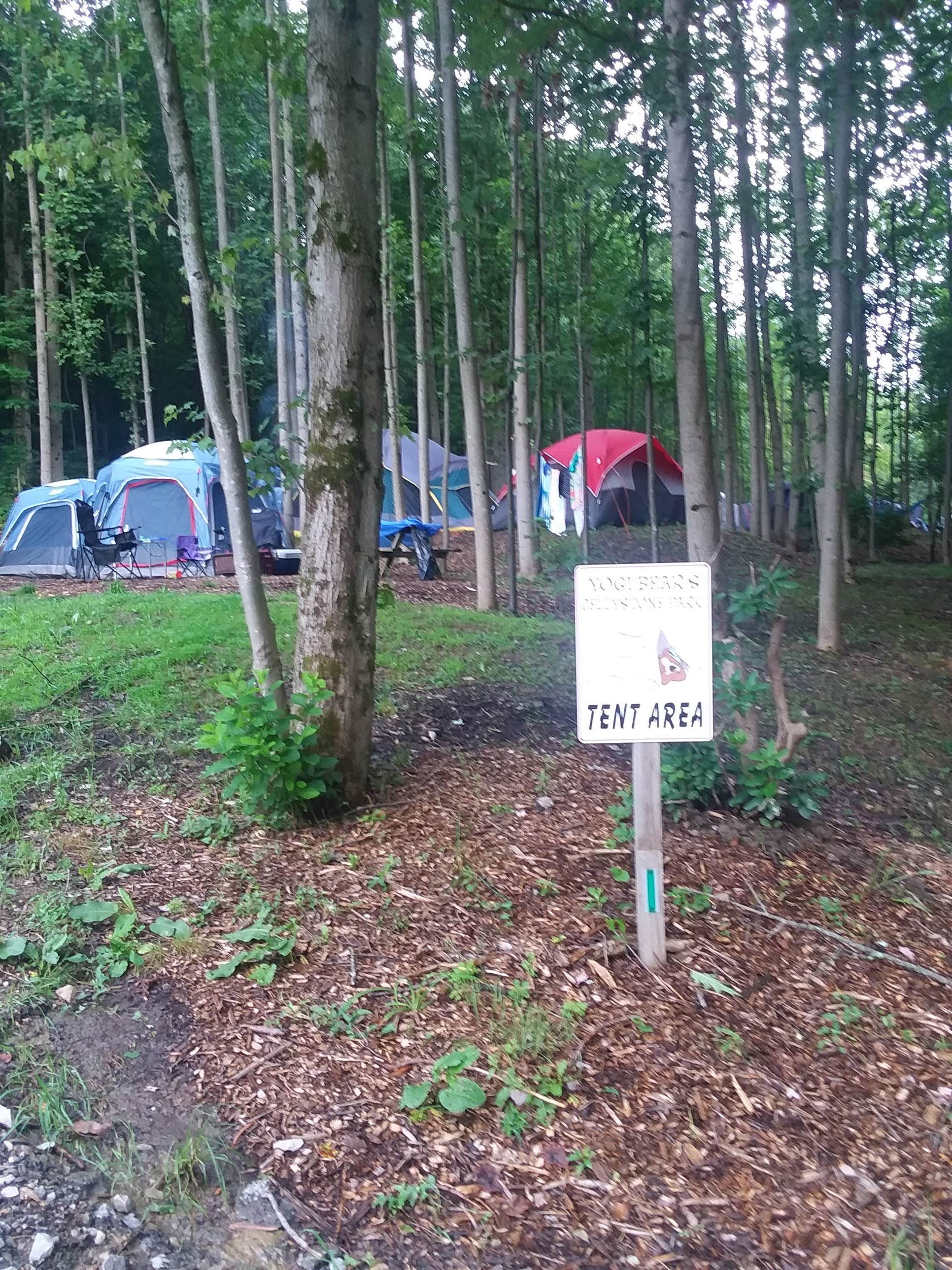 not S.'s photo at Yogi Bear's Jellystone Park Mill Run near Rockwood, PA