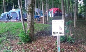 not S.'s photo at Yogi Bear's Jellystone Park Mill Run near Gibbon Glade, PA