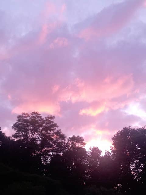 Camper-submitted photo at Grandpa's Back 40 Glamping near Colliersville, NY