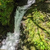 Review photo of Elkmont Campground — Great Smoky Mountains National Park by Jeremy G., August 5, 2022