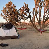 Review photo of Mojave Cross Dispersed — Mojave National Preserve by Michael D., August 5, 2022