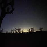 Review photo of Mojave Cross Dispersed — Mojave National Preserve by Michael D., August 5, 2022