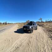 Review photo of Mojave Cross Dispersed — Mojave National Preserve by Michael D., August 5, 2022