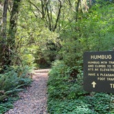 Review photo of Humbug Campground by Greg B., August 6, 2022