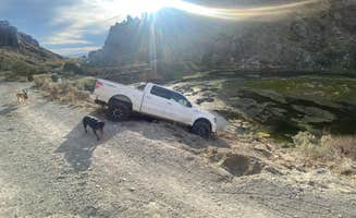 Lauryn C.'s photo of camping with pets at 12 Mile Hot Springs Dispersed Camping near Spring Creek, NV