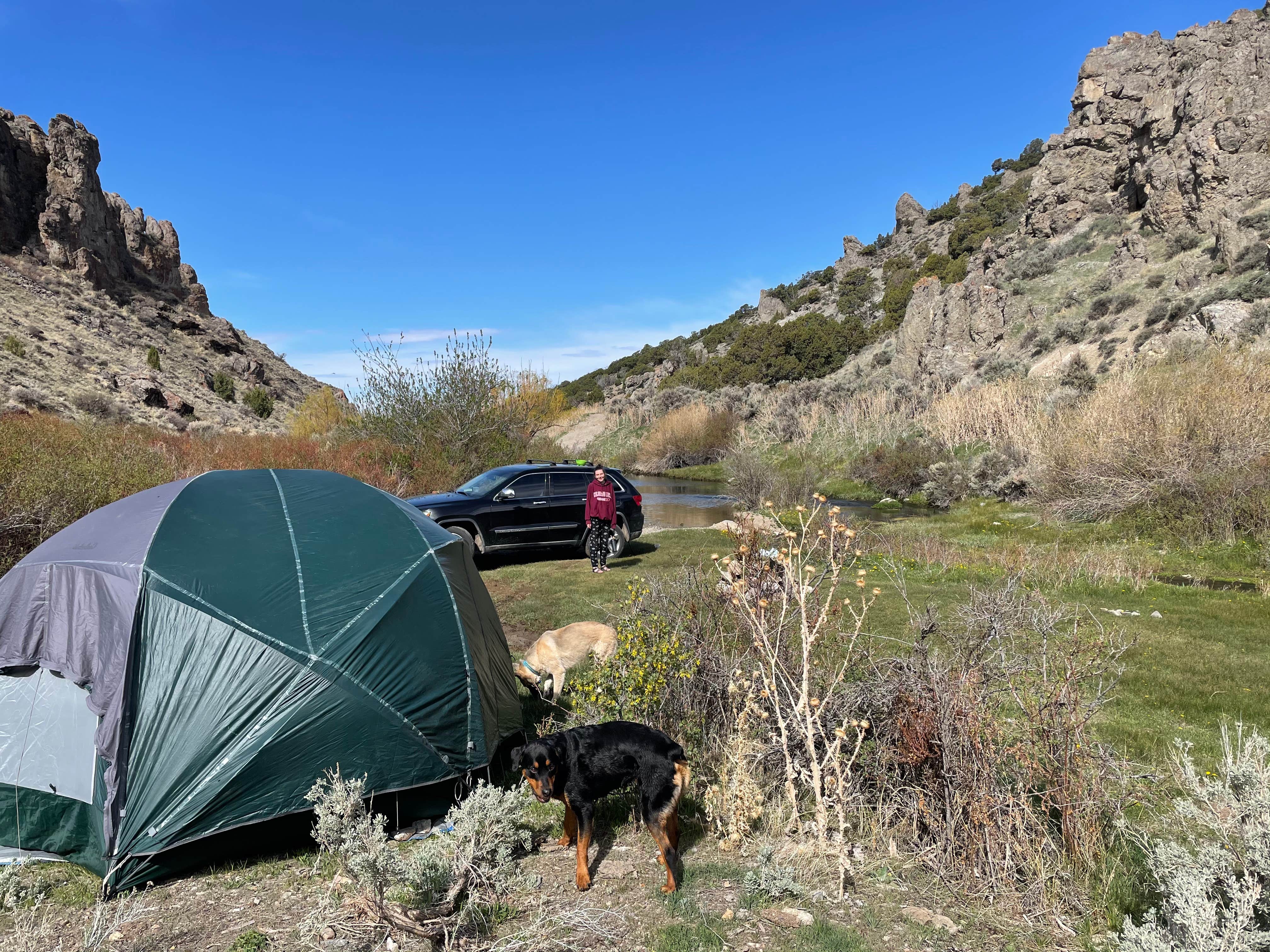 Lauryn C.'s photo of tent camping at 12 Mile Hot Springs Dispersed Camping in Nevada