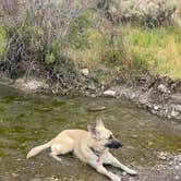 Review photo of 12 Mile Hot Springs Dispersed Camping by Lauryn C., August 6, 2022