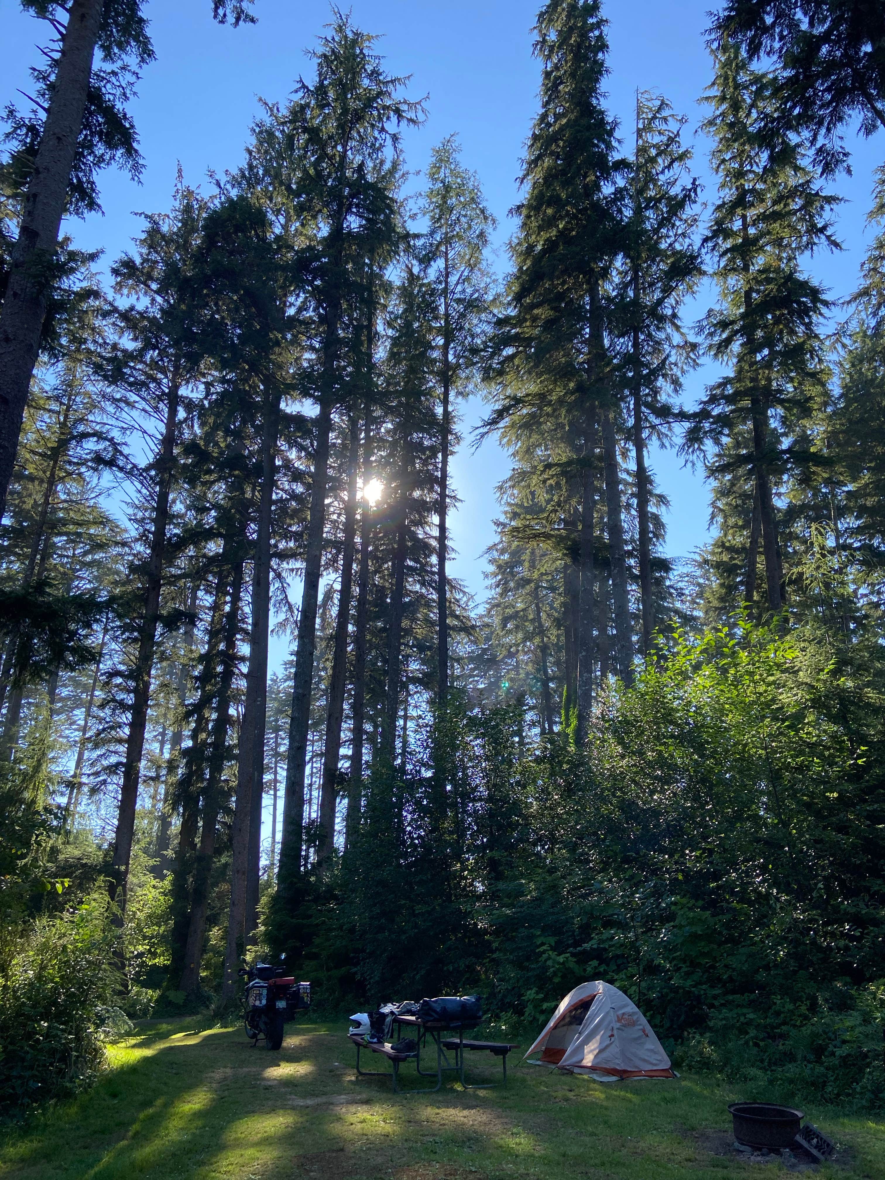 Camping near Bay Center-Willapa Bay KOA: Bush Pioneer County Park, Oysterville, Washington