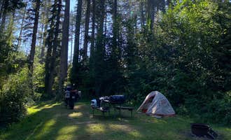 Camping near Ocean City State Park Campground: Bush Pioneer County Park, Oysterville, Washington