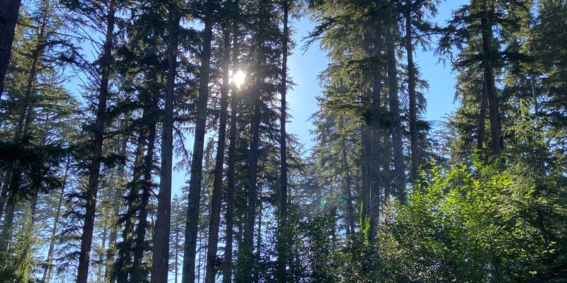 Camper submitted image from Bush Pioneer County Park