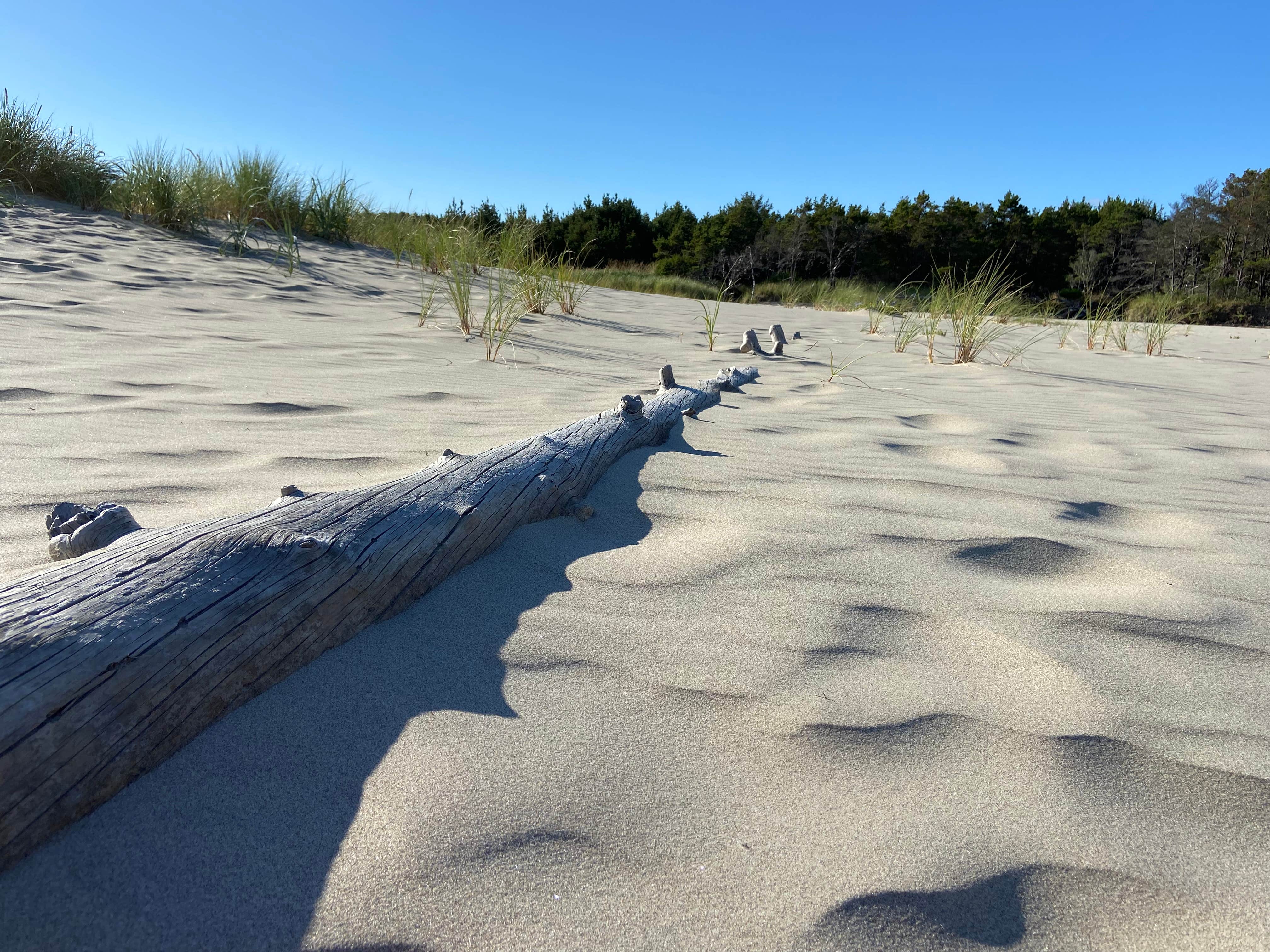 Camper-submitted photo at Sand Lake Recreation Area near Netarts, OR
