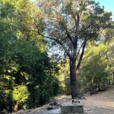 Review photo of BLM Sheldon Creek by Summer A., July 17, 2022