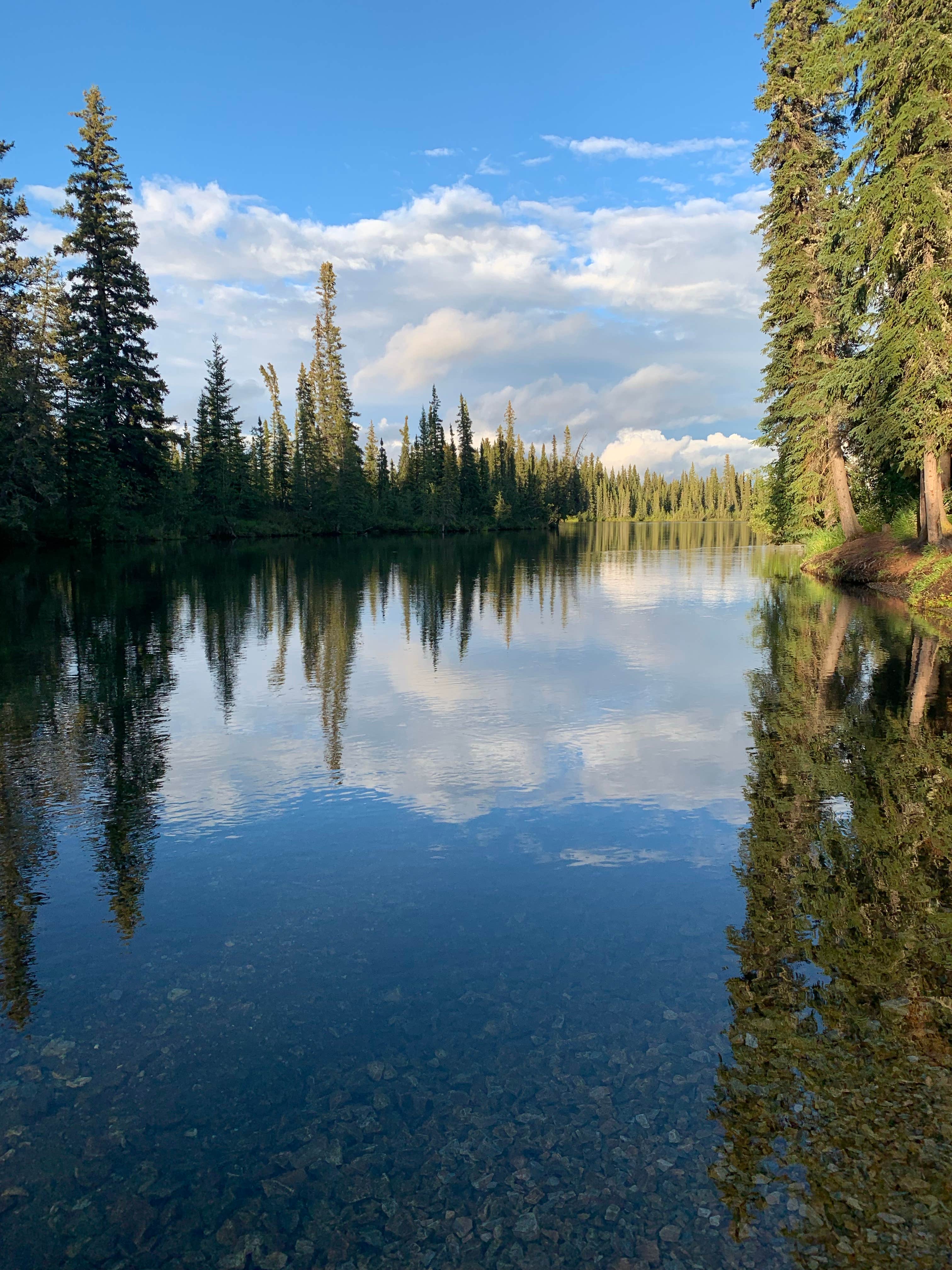 Camper-submitted photo at Clearwater State Recreation Site near Fort Greely, AK