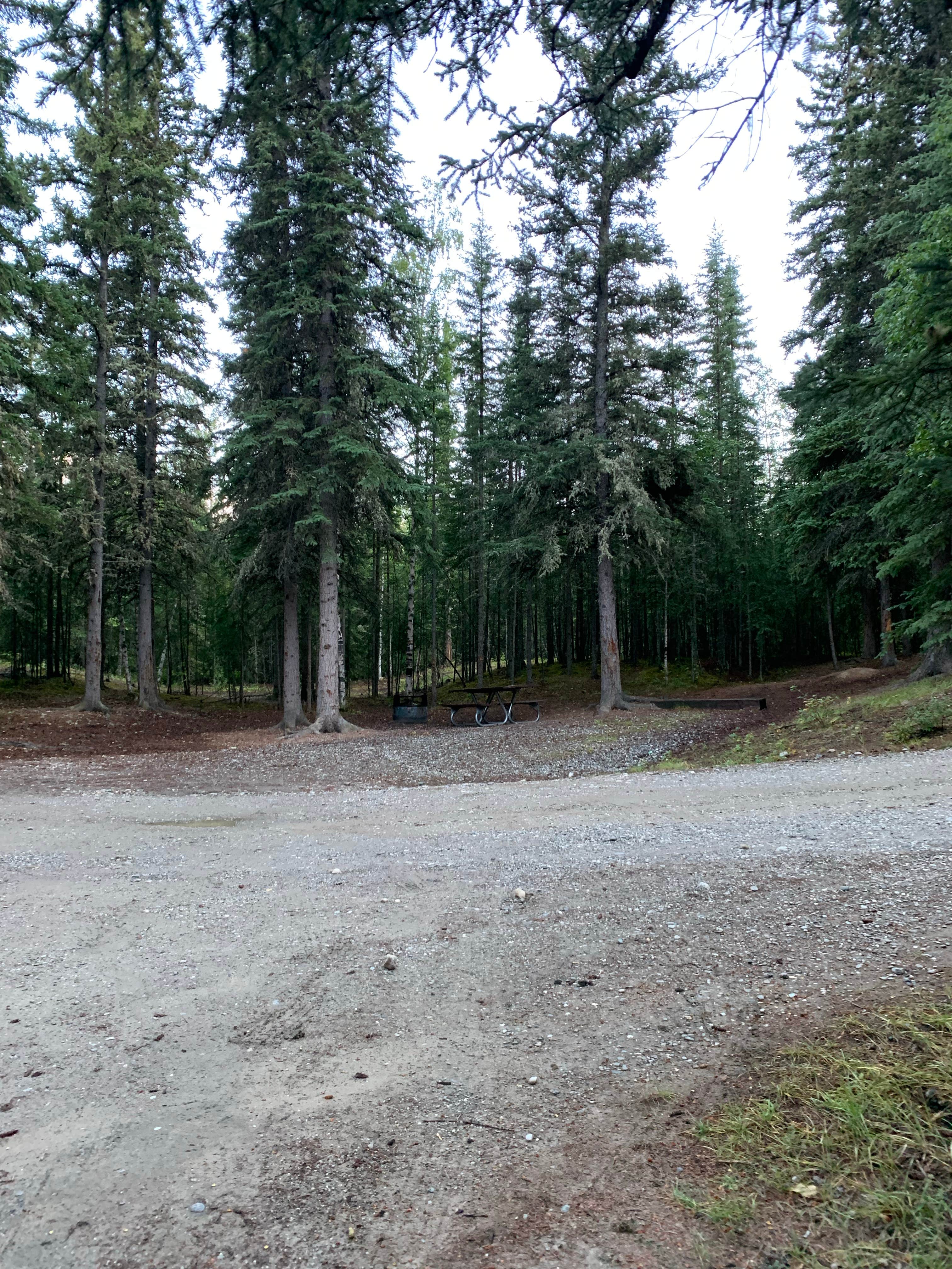 Camper-submitted photo at Clearwater State Recreation Site near Fort Greely, AK