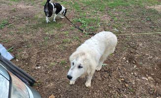 asherondryde's photo of camping with pets at Four Creeks Ranch Campground near Hartshorn, MO