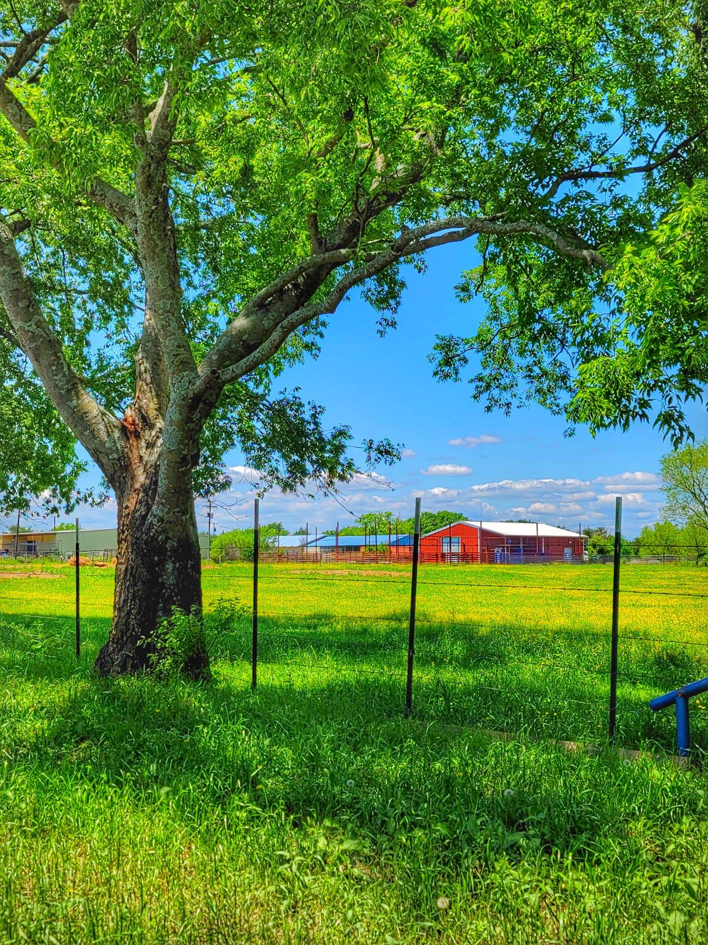 Camper-submitted photo at Bois D’Ark RV Park near Telephone, TX