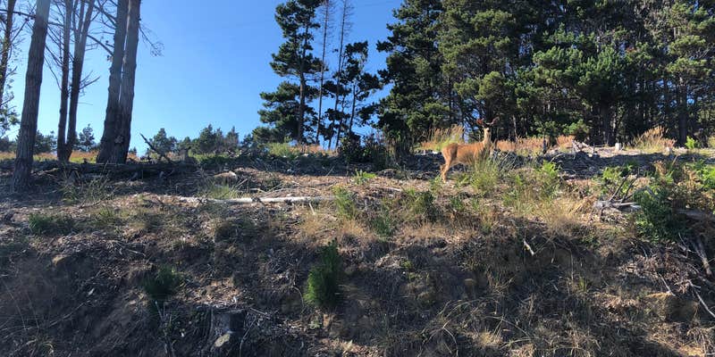 Camper submitted image from Vagabond Village