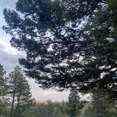 Review photo of Thunder Ridge by Kendall C., August 6, 2022