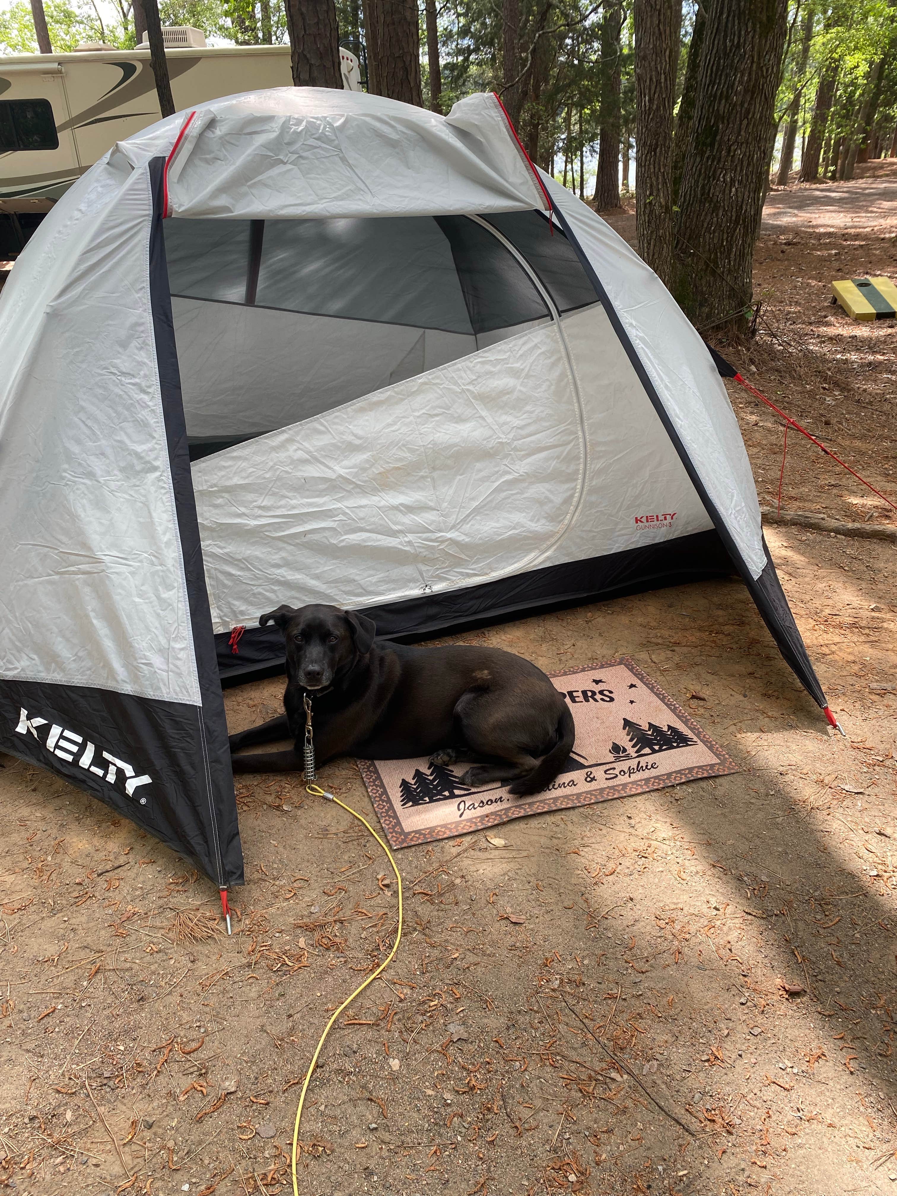 Jason H.'s photo at Hamilton Branch State Park Campground near Clarks Hill, SC