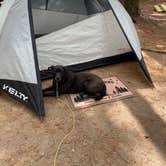 Review photo of Hamilton Branch State Park Campground by Jason H., August 6, 2022