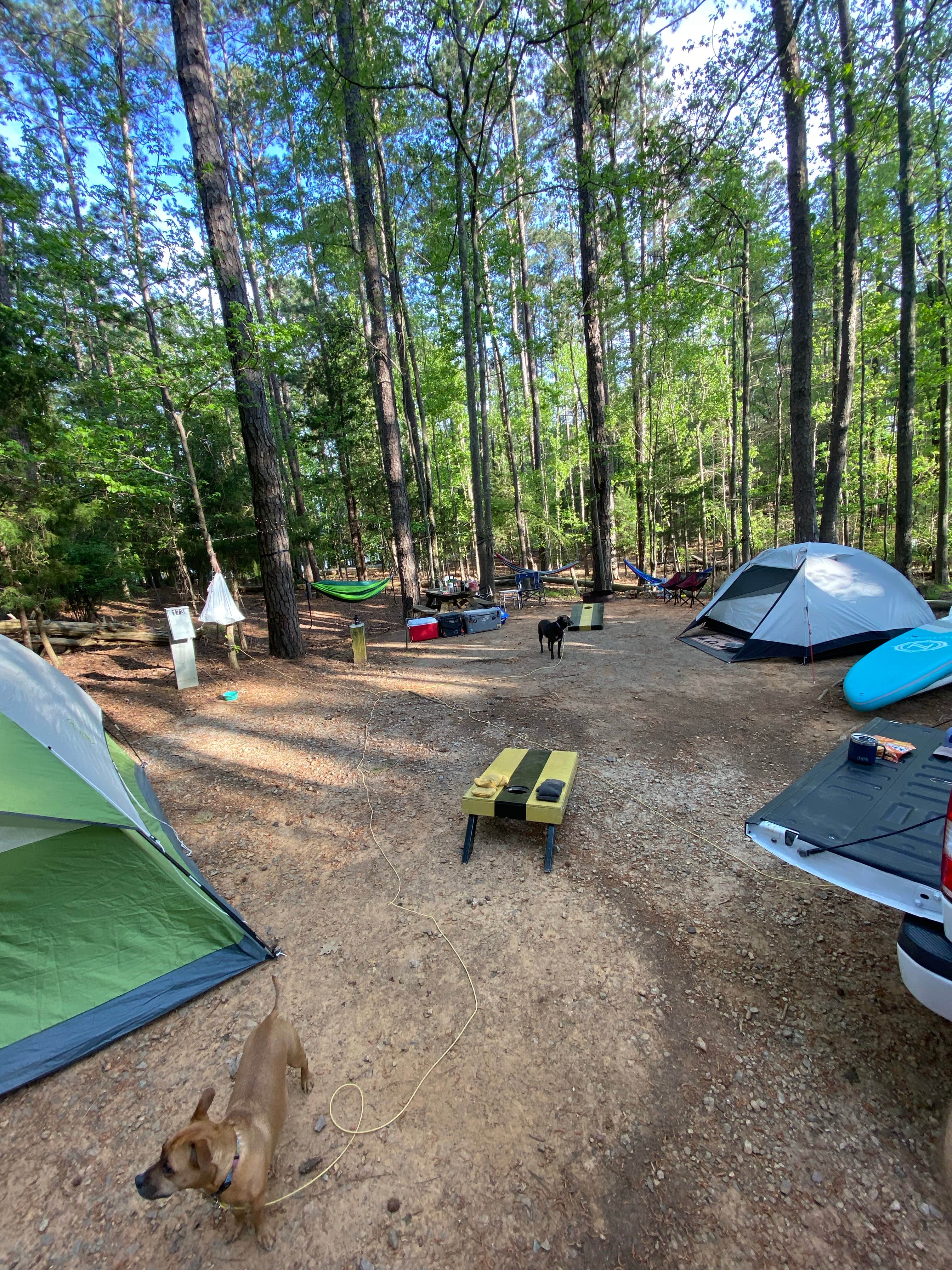 Jason H.'s photo at Hamilton Branch State Park Campground near Evans, GA