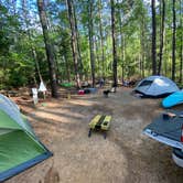 Review photo of Hamilton Branch State Park Campground by Jason H., August 6, 2022