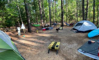 Jason H.'s photo at Hamilton Branch State Park Campground near Woodland, GA
