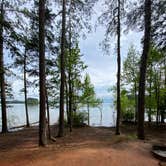 Review photo of Hamilton Branch State Park Campground by Jason H., August 6, 2022