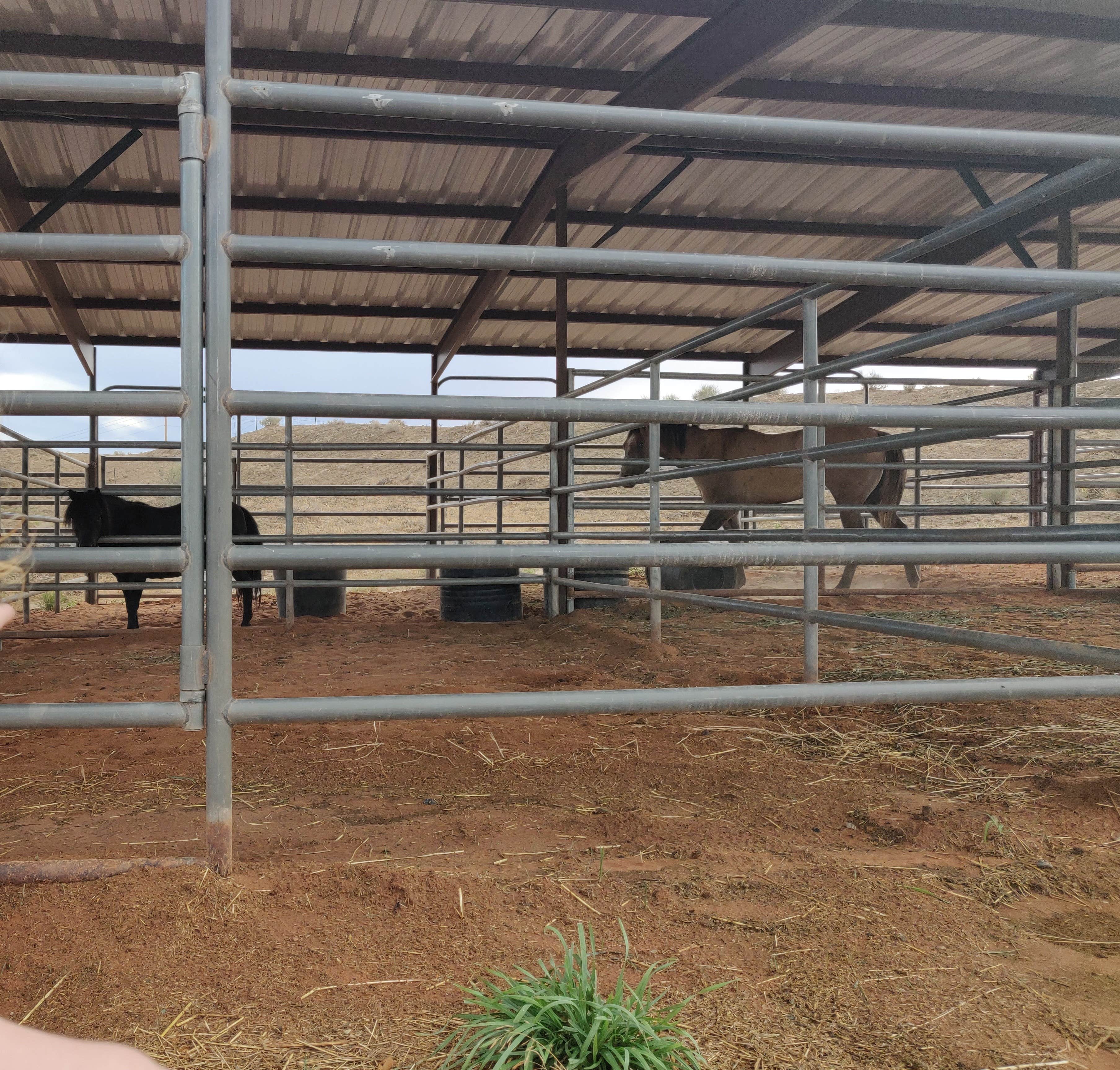 Maaike en Wouter S.'s photo of camping with a horse at Ethel's Hideout RV park and Campground: Kanab near Jacob Lake, AZ
